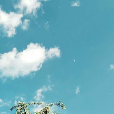 leyu·乐鱼(中国)体育app下载